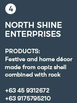 NORTH SHINE ENTERPRISES