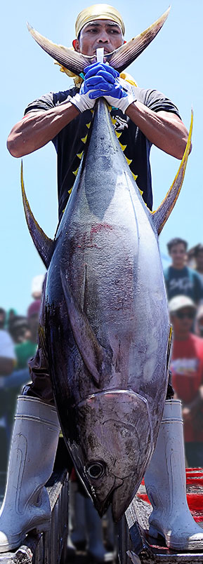 Tuna